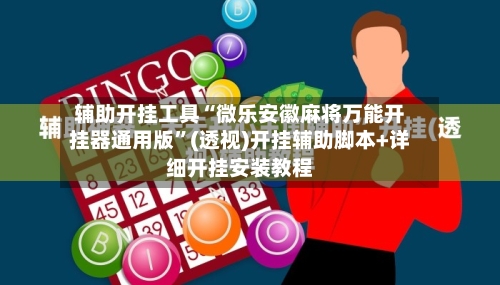 辅助开挂工具“微乐安徽麻将万能开挂器通用版”(透视)开挂辅助脚本+详细开挂安装教程-第2张图片