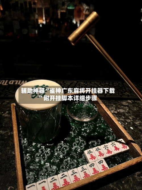 辅助神器“雀神广东麻将开挂器下载	”附开挂脚本详细步骤-第2张图片