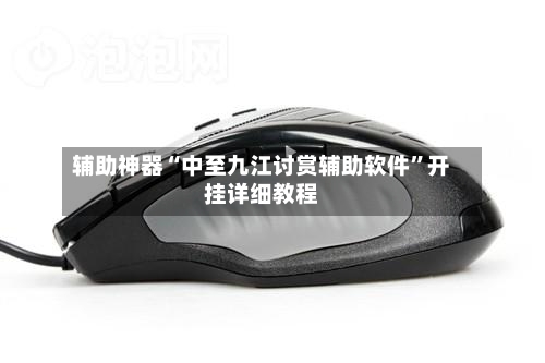 辅助神器“中至九江讨赏辅助软件	”开挂详细教程-第2张图片
