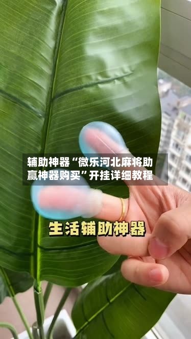 辅助神器“微乐河北麻将助赢神器购买”开挂详细教程-第2张图片