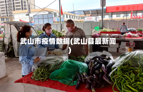 武山市疫情数据(武山县最新闻)-第3张图片