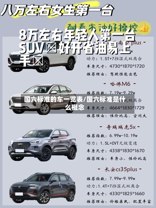 国六标准的车一览表/国六标准是什么概念-第1张图片