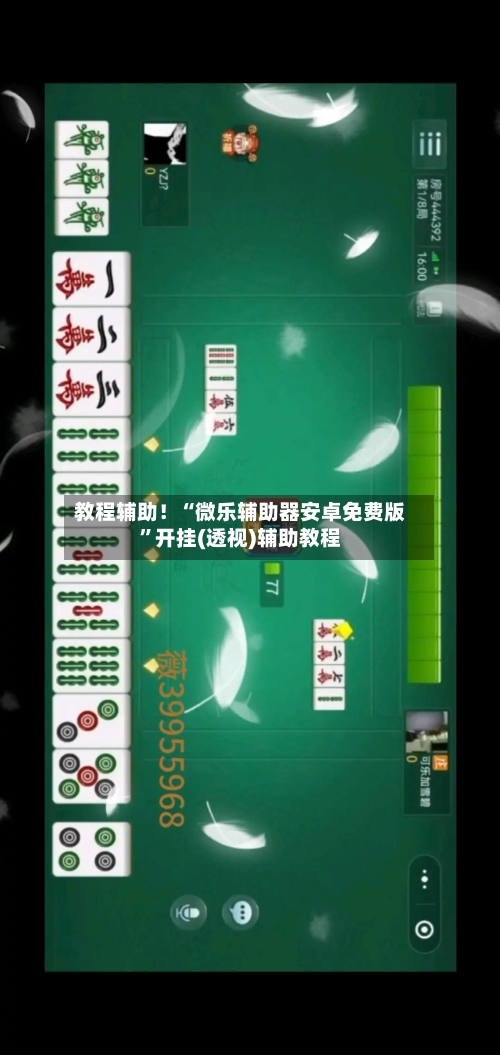 教程辅助！“微乐辅助器安卓免费版”开挂(透视)辅助教程-第1张图片