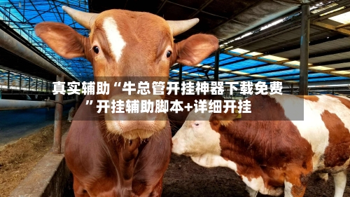 真实辅助“牛总管开挂神器下载免费”开挂辅助脚本+详细开挂-第1张图片