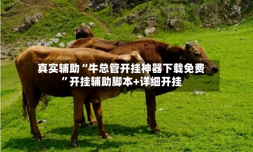真实辅助“牛总管开挂神器下载免费	”开挂辅助脚本+详细开挂-第2张图片