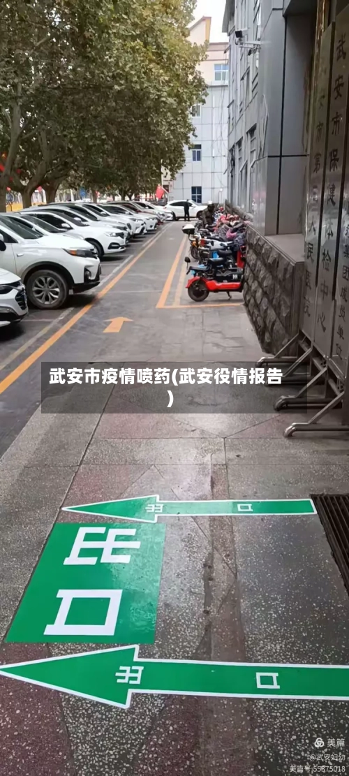 武安市疫情喷药(武安役情报告)-第1张图片