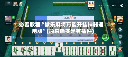 必看教程“微乐麻将万能开挂神器通用版”(原来确实是有插件)-第2张图片