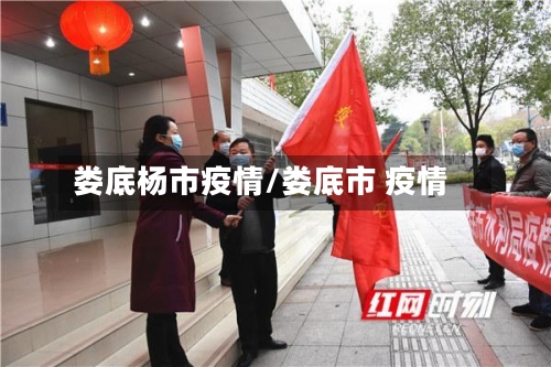 娄底杨市疫情/娄底市 疫情-第2张图片