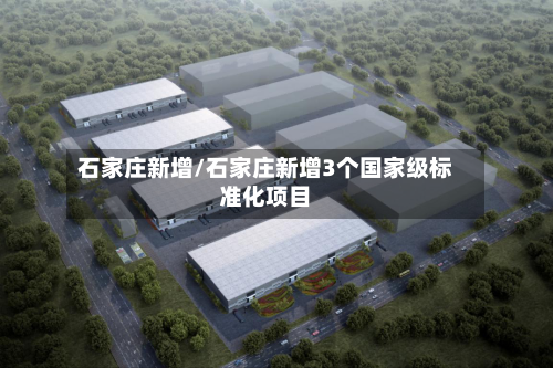 石家庄新增/石家庄新增3个国家级标准化项目-第3张图片
