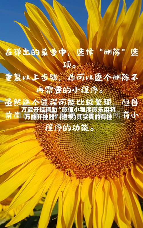 万能开挂辅助“微信小程序微乐麻将万能开挂器”(透视)其实真的有挂-第1张图片