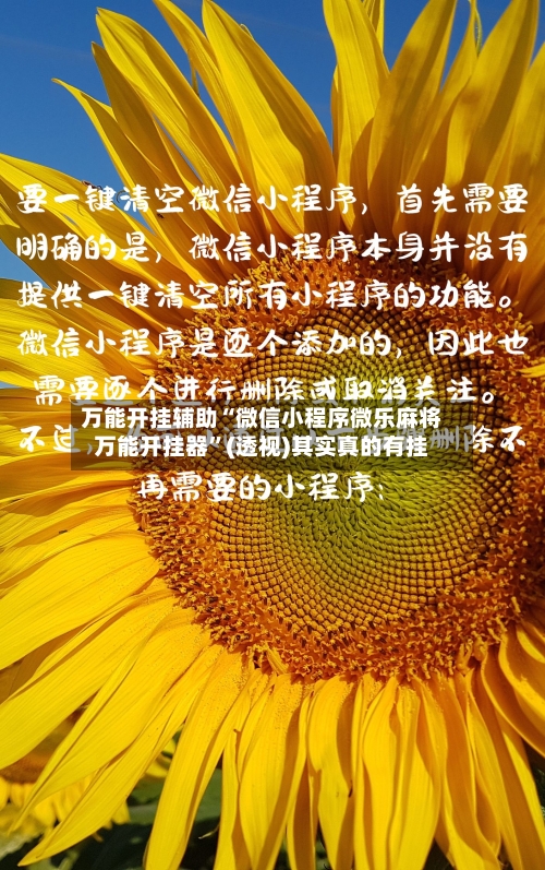 万能开挂辅助“微信小程序微乐麻将万能开挂器”(透视)其实真的有挂-第3张图片