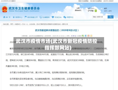 武汉市疫情市场(武汉市新冠疫情防控指挥部网站)-第3张图片
