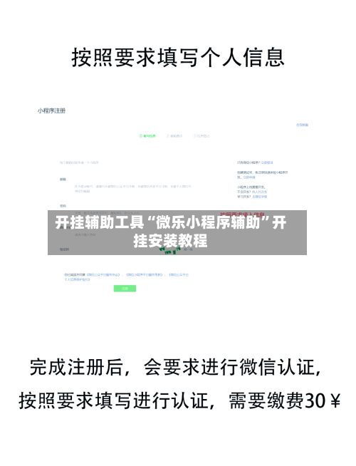 开挂辅助工具“微乐小程序辅助”开挂安装教程-第1张图片