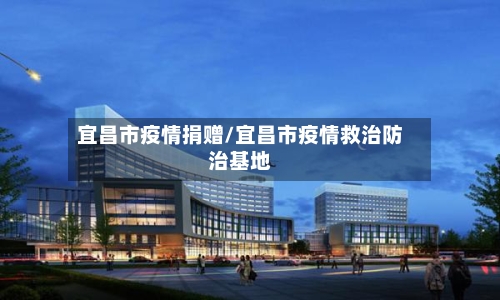 宜昌市疫情捐赠/宜昌市疫情救治防治基地-第2张图片