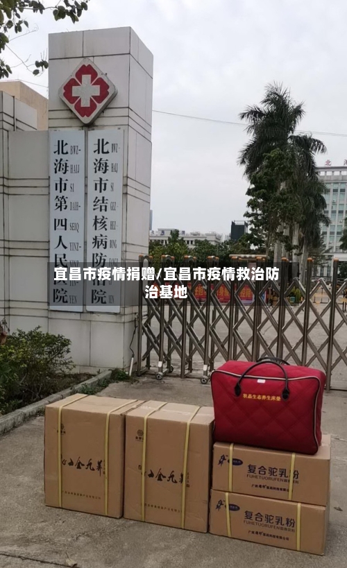 宜昌市疫情捐赠/宜昌市疫情救治防治基地-第3张图片