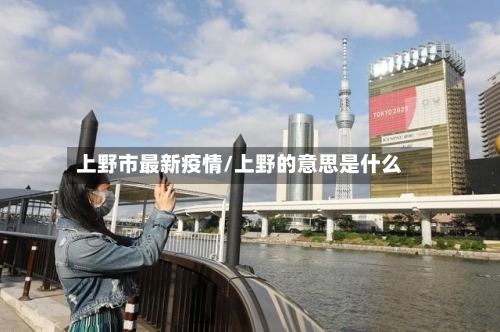 上野市最新疫情/上野的意思是什么-第2张图片