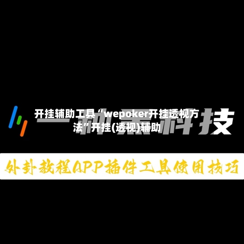 开挂辅助工具“wepoker开挂透视方法	”开挂(透视)辅助-第3张图片