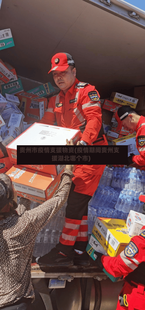 贵州市疫情支援物资(疫情期间贵州支援湖北哪个市)-第3张图片