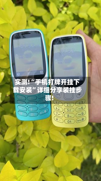 实测!“手机打牌开挂下载安装”详细分享装挂步骤!-第2张图片