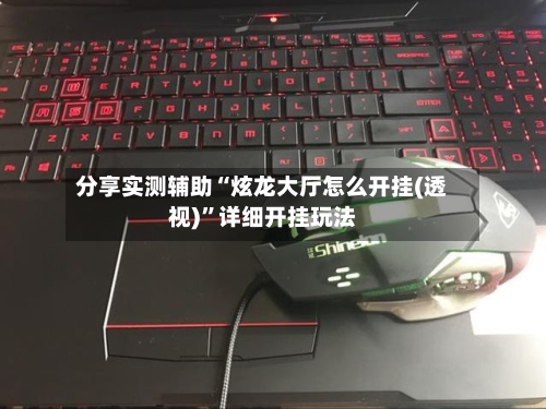 分享实测辅助“炫龙大厅怎么开挂(透视)	”详细开挂玩法-第2张图片