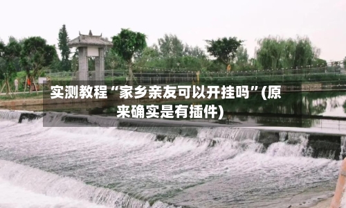 实测教程“家乡亲友可以开挂吗	”(原来确实是有插件)-第3张图片