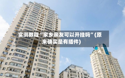 实测教程“家乡亲友可以开挂吗”(原来确实是有插件)-第2张图片