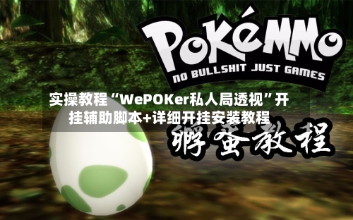 实操教程“WePOKer私人局透视”开挂辅助脚本+详细开挂安装教程-第2张图片