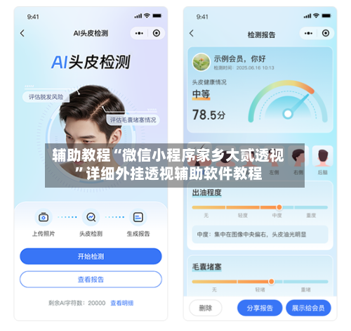 辅助教程“微信小程序家乡大贰透视	”详细外挂透视辅助软件教程-第3张图片