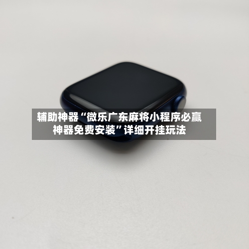 辅助神器“微乐广东麻将小程序必赢神器免费安装”详细开挂玩法-第2张图片