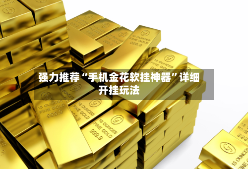 强力推荐“手机金花软挂神器”详细开挂玩法-第1张图片