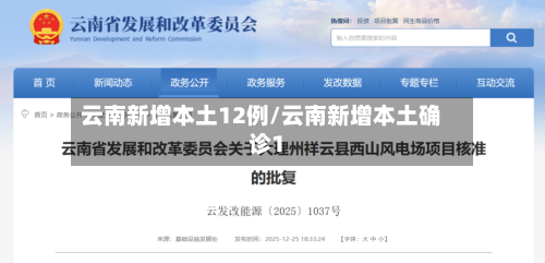 云南新增本土12例/云南新增本土确诊1-第1张图片