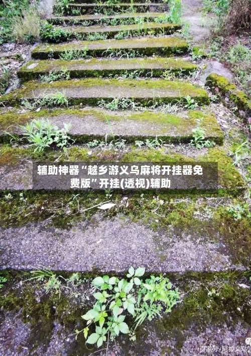 辅助神器“越乡游义乌麻将开挂器免费版”开挂(透视)辅助-第2张图片
