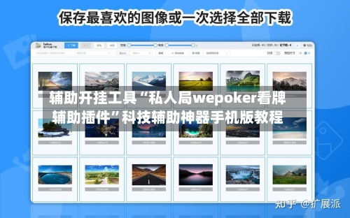 辅助开挂工具“私人局wepoker看牌辅助插件”科技辅助神器手机版教程-第2张图片