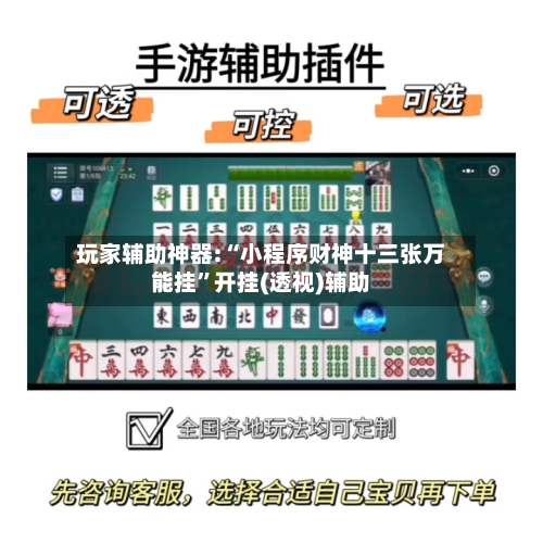 玩家辅助神器:“小程序财神十三张万能挂”开挂(透视)辅助-第3张图片