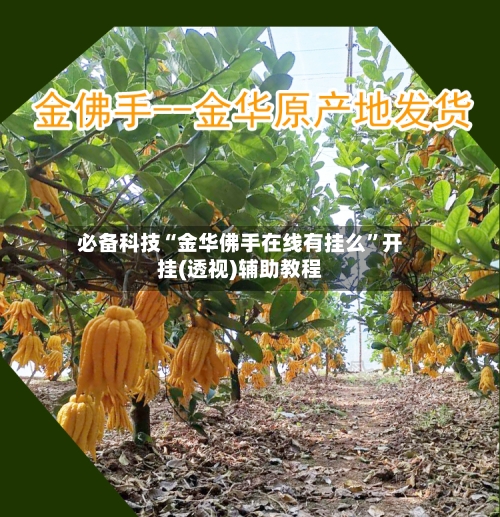 必备科技“金华佛手在线有挂么	”开挂(透视)辅助教程-第3张图片