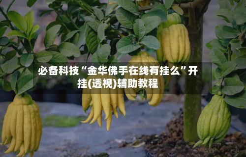 必备科技“金华佛手在线有挂么”开挂(透视)辅助教程-第1张图片