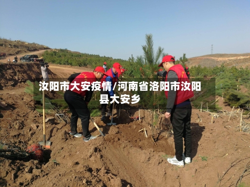 汝阳市大安疫情/河南省洛阳市汝阳县大安乡-第3张图片
