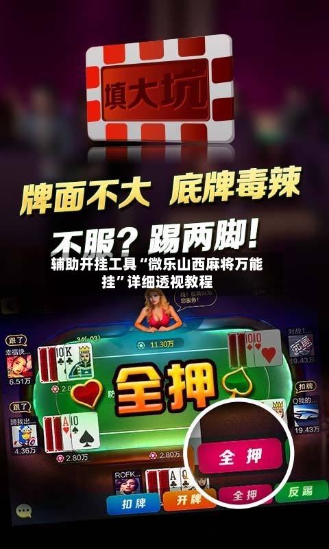 辅助开挂工具“微乐山西麻将万能挂”详细透视教程-第1张图片