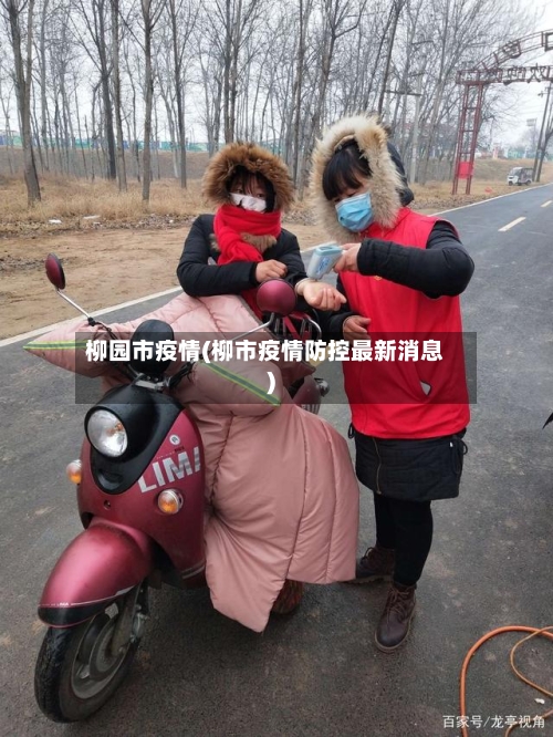 柳园市疫情(柳市疫情防控最新消息)-第2张图片