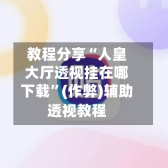 教程分享“人皇大厅透视挂在哪下载”(作弊)辅助透视教程-第1张图片