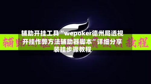 辅助开挂工具“wepoker德州局透视开挂作弊方法辅助器脚本”详细分享装挂步骤教程-第2张图片