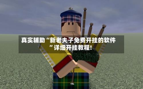 真实辅助“新老夫子免费开挂的软件”详细开挂教程!-第2张图片