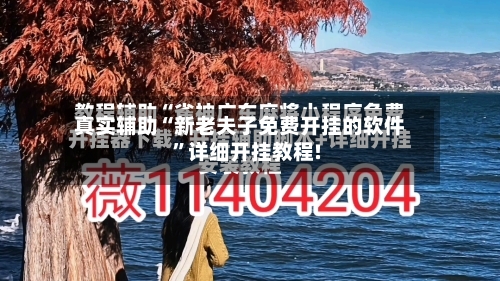 真实辅助“新老夫子免费开挂的软件”详细开挂教程!-第1张图片