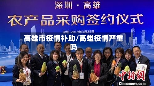高雄市疫情补助/高雄疫情严重吗-第2张图片