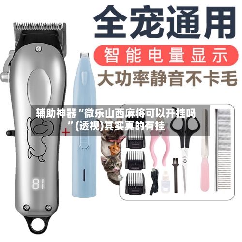 辅助神器“微乐山西麻将可以开挂吗”(透视)其实真的有挂-第1张图片