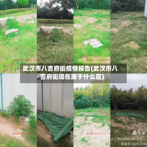 武汉市八吉府街疫情报告(武汉市八吉府街现在属于什么区)-第1张图片