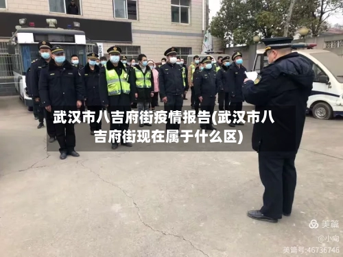 武汉市八吉府街疫情报告(武汉市八吉府街现在属于什么区)-第2张图片