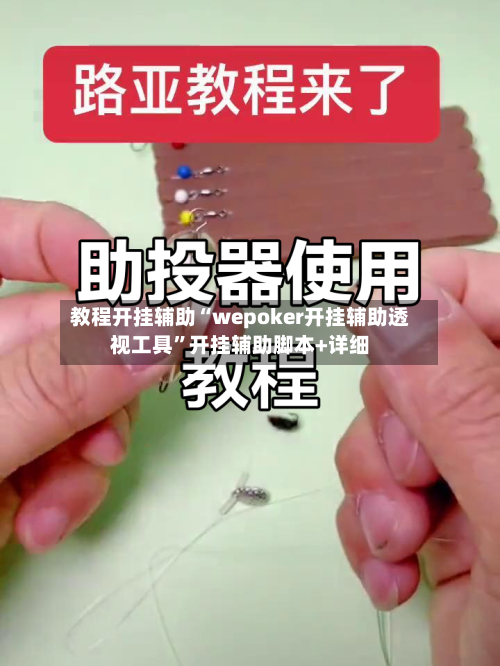 教程开挂辅助“wepoker开挂辅助透视工具	”开挂辅助脚本+详细-第3张图片