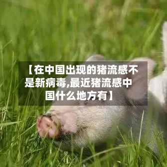 【在中国出现的猪流感不是新病毒,最近猪流感中国什么地方有】-第2张图片