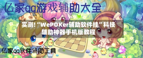 实测!“WePOKer辅助软件挂”科技辅助神器手机版教程-第3张图片